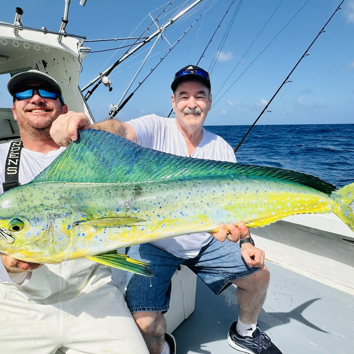 A bull mahi held on the deck of Miss Chief